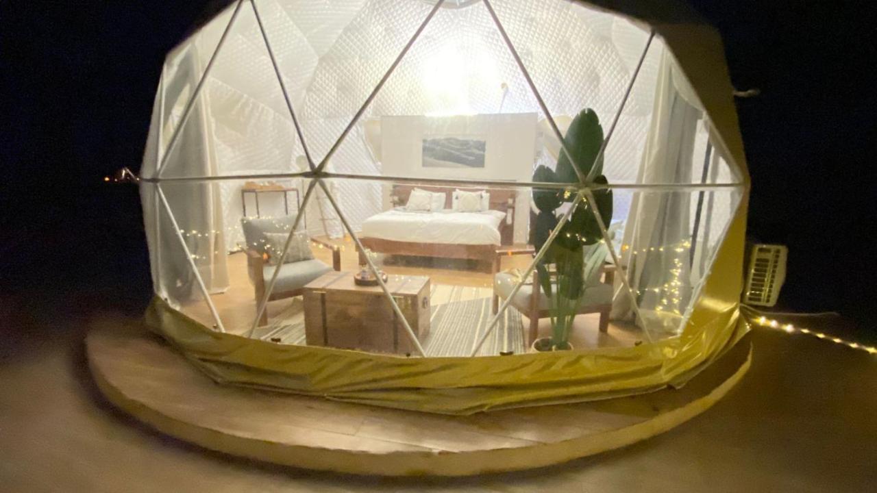 Desert Star Camp Ουάντι Ραμ Εξωτερικό φωτογραφία