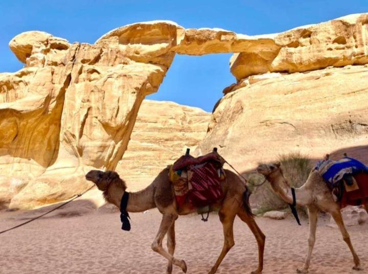Desert Star Camp Ουάντι Ραμ Εξωτερικό φωτογραφία